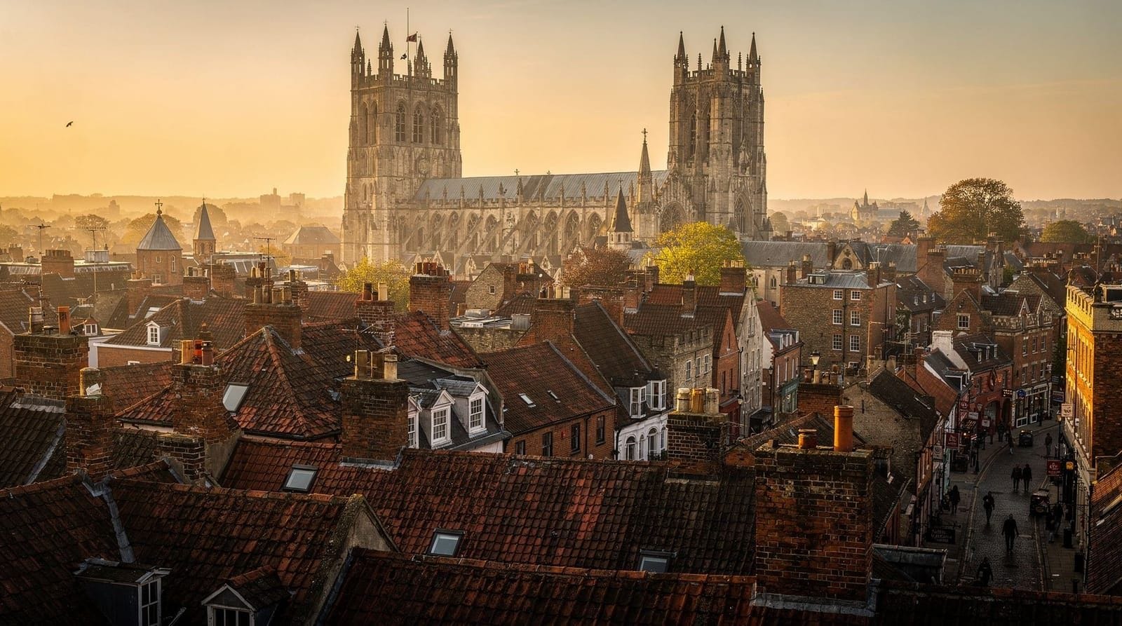 Bringing a dog to York: what's actually allowed