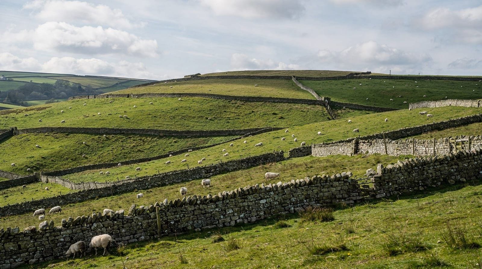 The Yorkshire Dales in a day from York