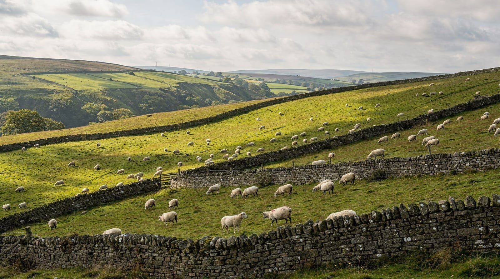 Malham