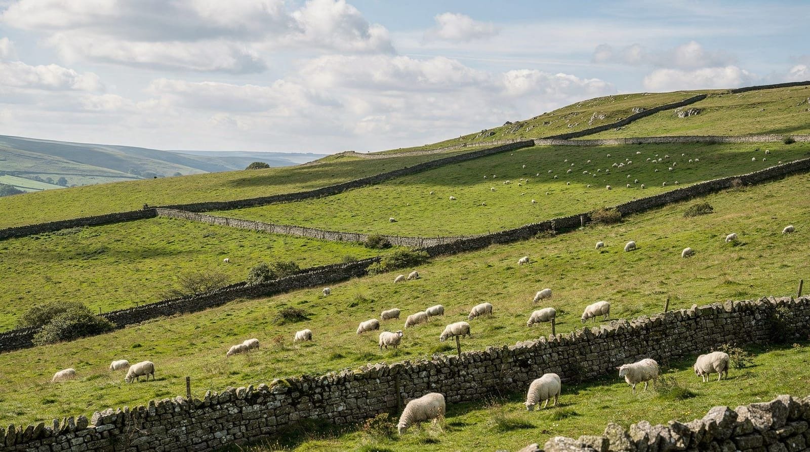 The best Yorkshire Dales walks from York