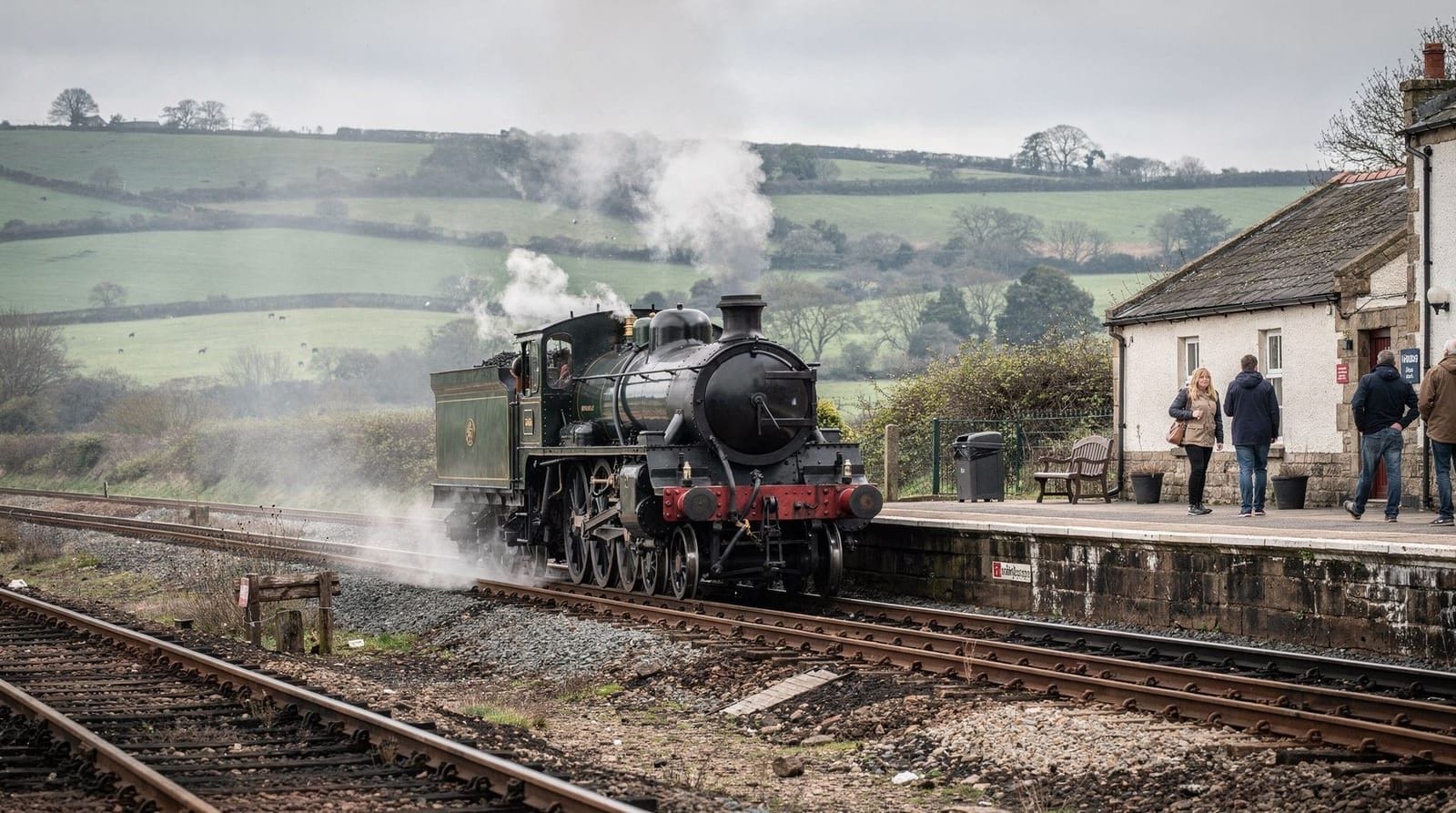 The Moors steam train for families: what to expect