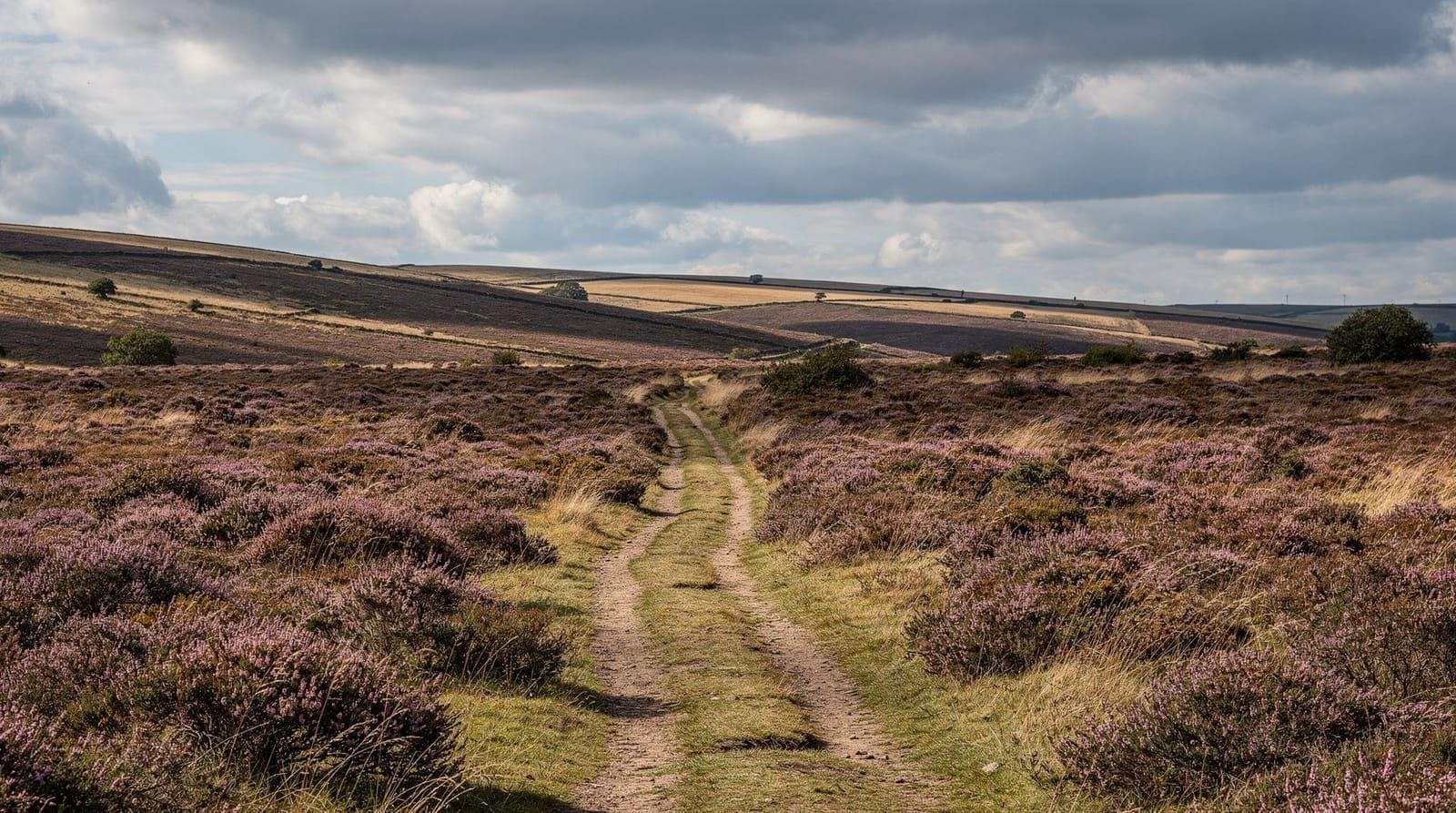 North York Moors day trip from York: the complete plan