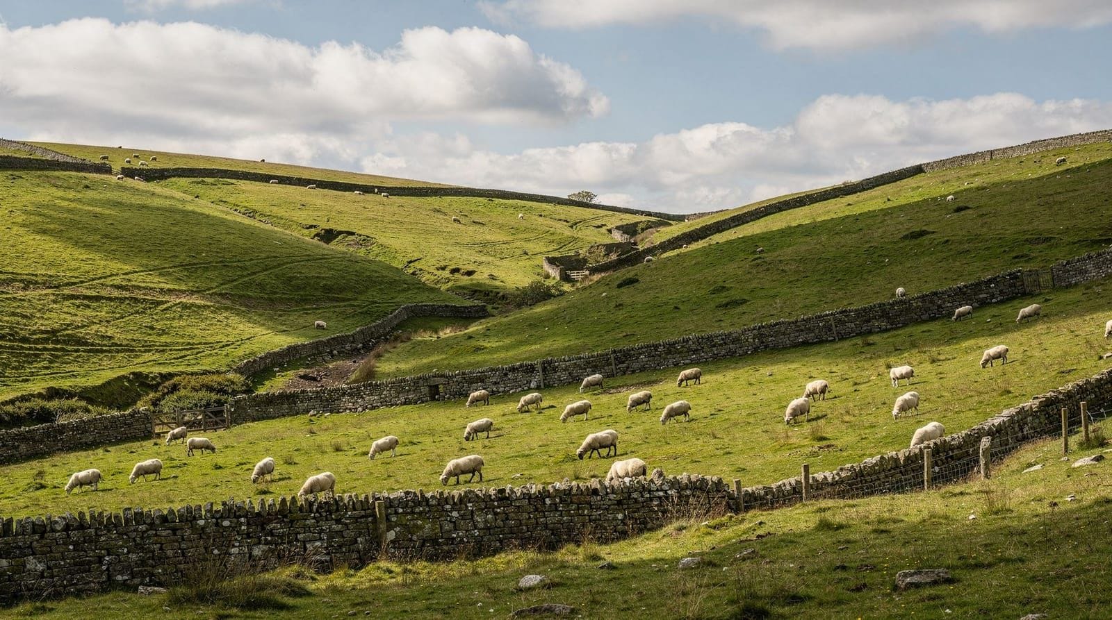 Yorkshire Dales day trip from York: the complete plan